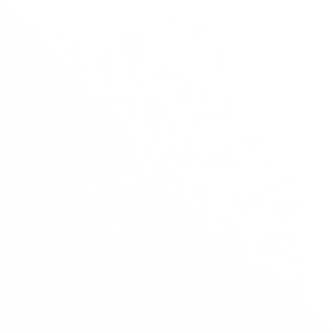 Image Title My Image